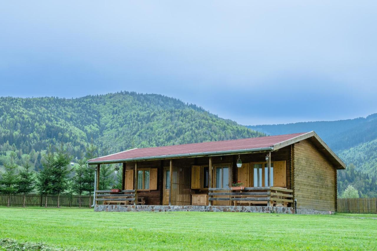 Biotour Camping & Restaurant Ghimeş-Făget Zewnętrze zdjęcie